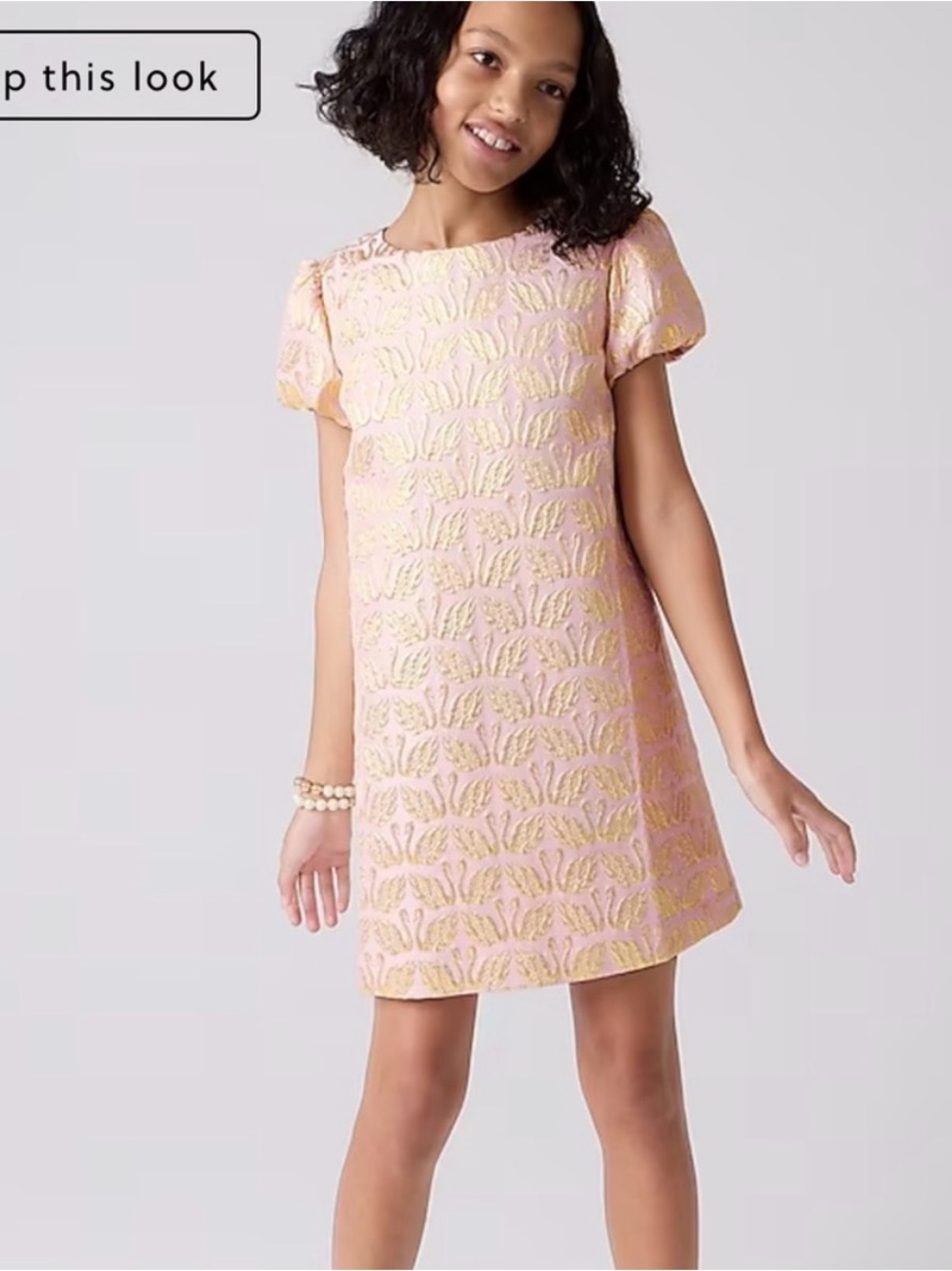 Girls' jacquard swan dress. J crew Crewcuts
